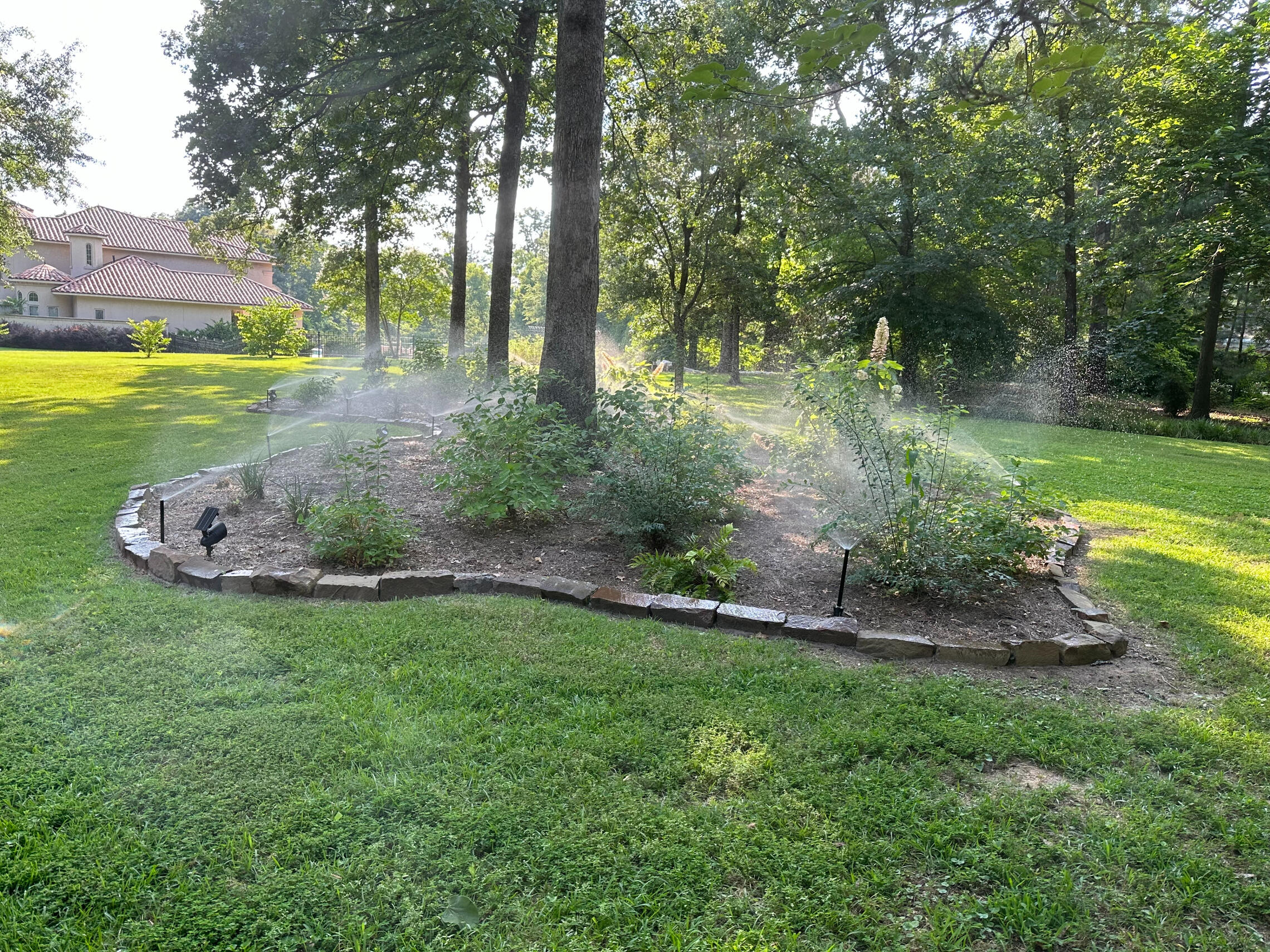 Sprinkler Beds Above-ground sprinklers watering landscaped beds in Longview, Texas. Targeted irrigation services to maintain beautiful East Texas lawns and gardens.