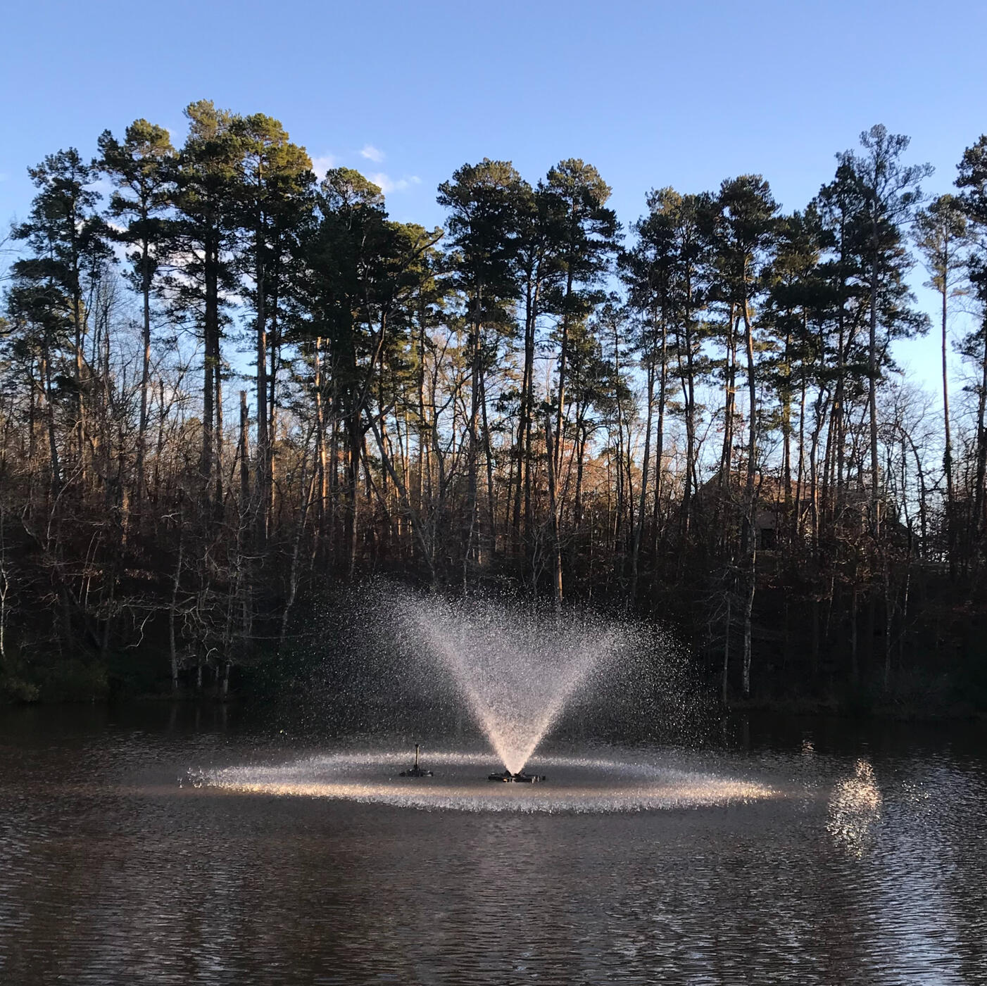 Decorative pond fountain installation in Kilgore, Texas. Professional water feature and irrigation services enhancing East Texas landscapes.